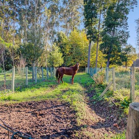 Casa Do Moinho Rural Campo E Praia , 9 Pessoas, Animais Benvindos エスピーニョ エクステリア 写真