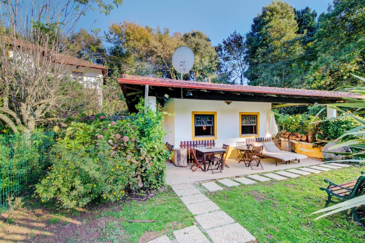 Casa Do Moinho Rural Campo E Praia , 9 Pessoas, Animais Benvindos エスピーニョ エクステリア 写真