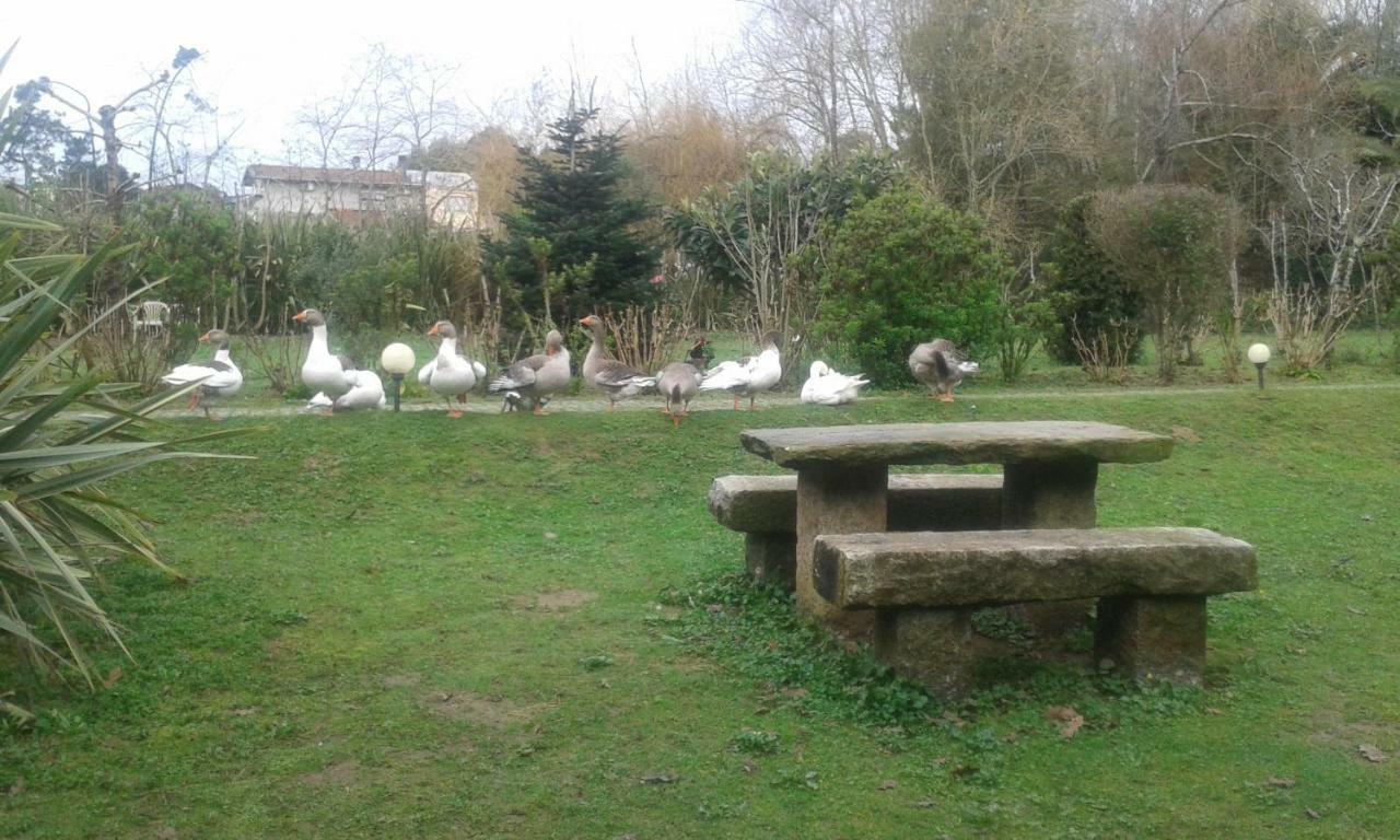 Casa Do Moinho Rural Campo E Praia , 9 Pessoas, Animais Benvindos エスピーニョ エクステリア 写真